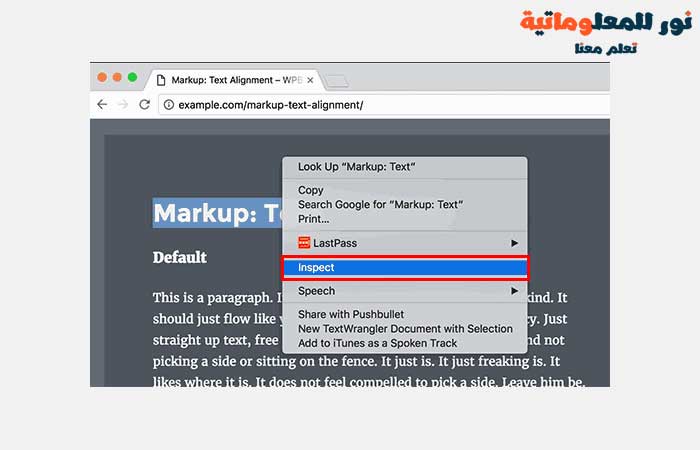 لوحتي HTML و CSS في أداة الفحص,نور للمعلوماتية,تعلم ووردبريس