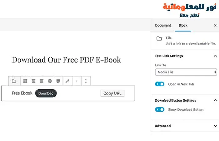 تضمين ملفات PDF في ووردبريس,مدونة ووردبريس ,نور للمعلوماتية