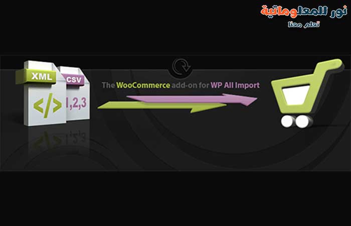 WooCommerce WP All Import